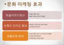 농어촌건축 관광마케팅(농촌관광, 전통문화마케팅, 농촌관광문화, 문화마케팅전략) PPT, 파워포인트 16페이지