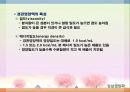 병원식과 영양지원(임상영양학, 병원식, 영양집중지원, 과도기급식) PPT, 파워포인트 29페이지