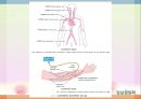병원식과 영양지원(임상영양학, 병원식, 영양집중지원, 과도기급식) PPT, 파워포인트 40페이지