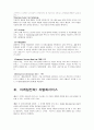 글로벌 IBM 경영전략  14페이지