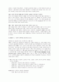글로벌 IBM 경영전략  20페이지