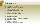 동유럽 및 러시아의 정치와 경제  19페이지