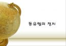 동유럽 및 러시아의 정치와 경제  44페이지