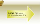 동유럽 및 러시아의 정치와 경제  57페이지