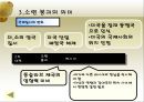동유럽 및 러시아의 정치와 경제  71페이지
