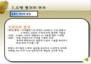 동유럽 및 러시아의 정치와 경제  72페이지