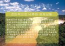 중남미 정치와 경제  14페이지