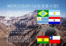 중남미 정치와 경제  19페이지