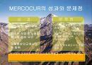 중남미 정치와 경제  20페이지