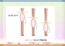 소화기 질환(임상영양학, 구강및식도질환, 위장질환, 장질환) PPT, 파워포인트 4페이지