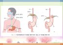 소화기 질환(임상영양학, 구강및식도질환, 위장질환, 장질환) PPT, 파워포인트 6페이지