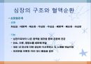 심혈관계 질환(임상영양학, 심장의구조, 고혈압, 이상지혈증, 동맥경화증, 심장질환, 뇌졸증) PPT, 파워포인트 2페이지