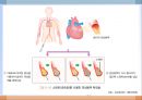 심혈관계 질환(임상영양학, 심장의구조, 고혈압, 이상지혈증, 동맥경화증, 심장질환, 뇌졸증) PPT, 파워포인트 65페이지