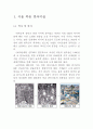 역사문화 도시재생 성공사례(서울북촌 한옥마을, 도시재생사업, 지역관광지산업) 2페이지