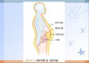 체중조절(임상영양학, 비만, 저체중, 식사장애) PPT, 파워포인트 8페이지