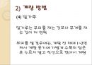 한국의조리(식품의조리, 학습지도안, 식품영양학과, 교직, 교생실습, 교수지도안, 수업지도안) PPT, 파워포인트 14페이지