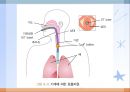 호흡기질환(임상영양학, 호흡기구조, 호흡기질환종류, 치료, 약물치료) PPT, 파워포인트 18페이지