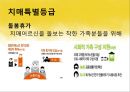 치매특별등급 12페이지