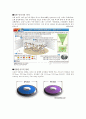 [육상] 포환던지기 & 원반던지기 (역사, 경기장, 경기규칙, 기술, 훈련법) 7페이지