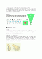 [육상] 포환던지기 & 원반던지기 (역사, 경기장, 경기규칙, 기술, 훈련법) 9페이지
