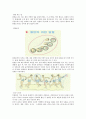 [육상] 포환던지기 & 원반던지기 (역사, 경기장, 경기규칙, 기술, 훈련법) 10페이지