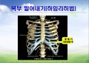 심폐소생술 및 기도폐쇄 파포 47페이지