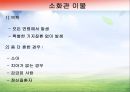 심폐소생술 및 기도폐쇄 파포 50페이지