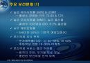[국제보건론] 개발도상국의 보건문제 해결을 위한 전략 -동티모르의 보건문제 및 해결전략 PPT  6페이지