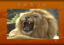 미국의 對아프리카 투자 정책현황 및 의의 ppt  25페이지
