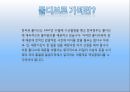 여행사 마케팅 두바이,몰디브 23페이지