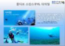 여행사 마케팅 두바이,몰디브 39페이지