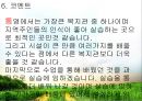 도남사회복지관 실습기관분석(사회복지현장실습) PPT, 파워포인트 9페이지
