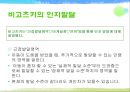 비고츠키의 인지발달이론(정신건강론, 정신건강의발달적이해, 인지발달) PPT 5페이지