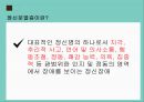 정신분열증과 망상장애(정신건강론, 정신질환, 정신분열, 망상) PPT, 파워포인트 5페이지