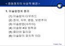 중동의 정치와 분쟁  6페이지