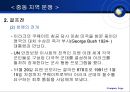 중동의 정치와 분쟁  11페이지