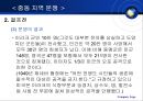 중동의 정치와 분쟁  13페이지