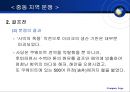 중동의 정치와 분쟁  14페이지