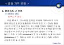중동의 정치와 분쟁  16페이지