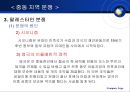 중동의 정치와 분쟁  17페이지