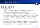 중동의 정치와 분쟁  18페이지