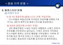 중동의 정치와 분쟁  19페이지