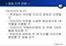 중동의 정치와 분쟁  27페이지