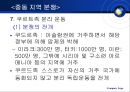 중동의 정치와 분쟁  39페이지