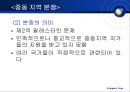 중동의 정치와 분쟁  43페이지