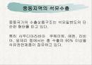중동(Middle East) ppt  18페이지