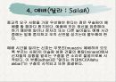 중동(Middle East) ppt  40페이지