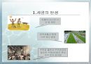 세금의 역사  3페이지