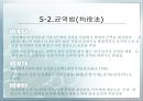 세금의 역사  19페이지