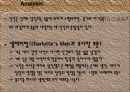 [영미문학] 어니스트 헤밍웨이(Ernest Hemingway)의 『노인과 바다(The Old Man and the Sea)』 작품 분석 - “인생을 통틀어 내가 쓸 수 있는 최고”.pptx 8페이지